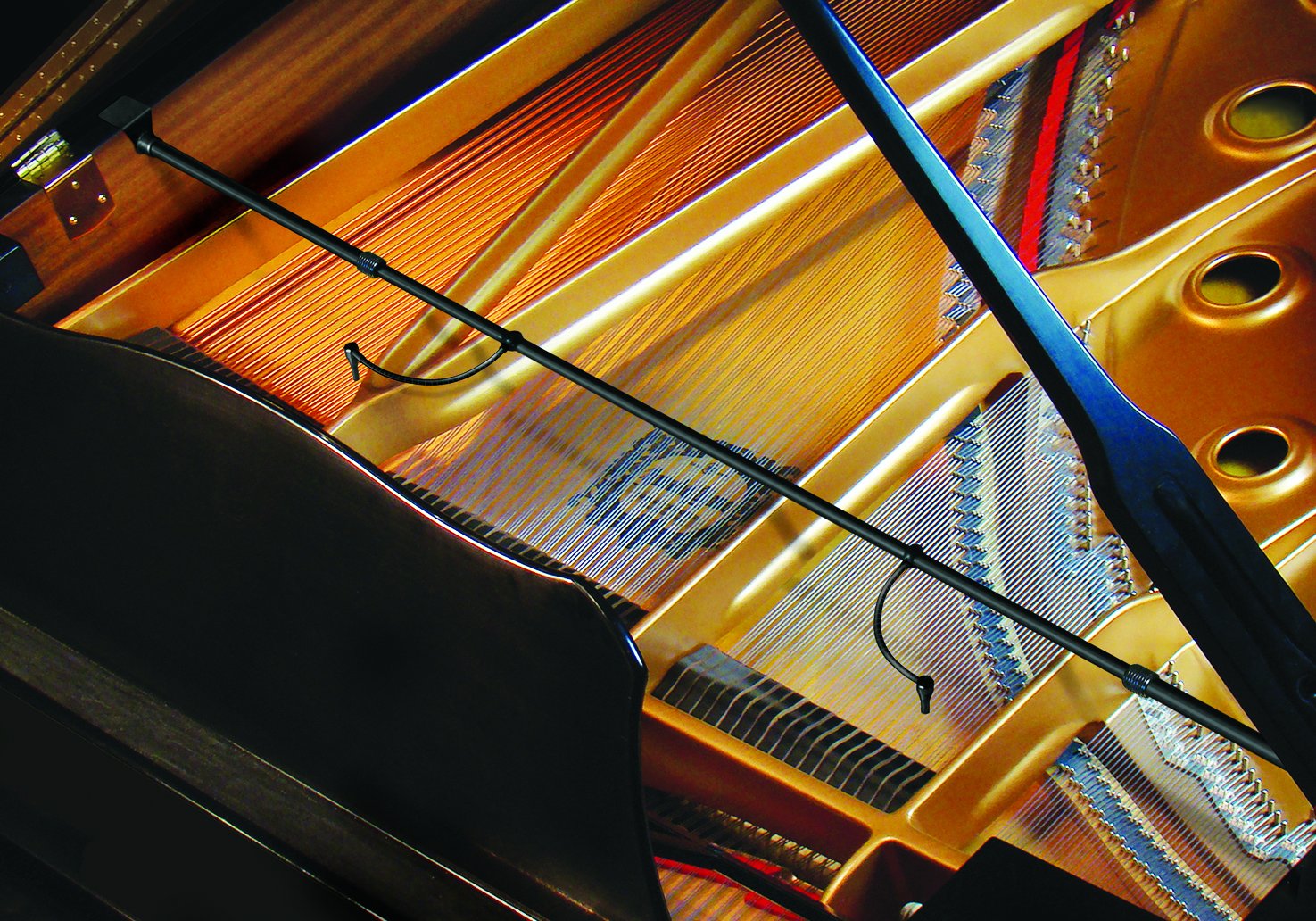 Amazon.co.jp: 【正規輸入品】 Earthworks PM40 ハイレゾ